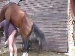 Dogs bestiality sex